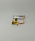 شیر سرویس کولر ۲